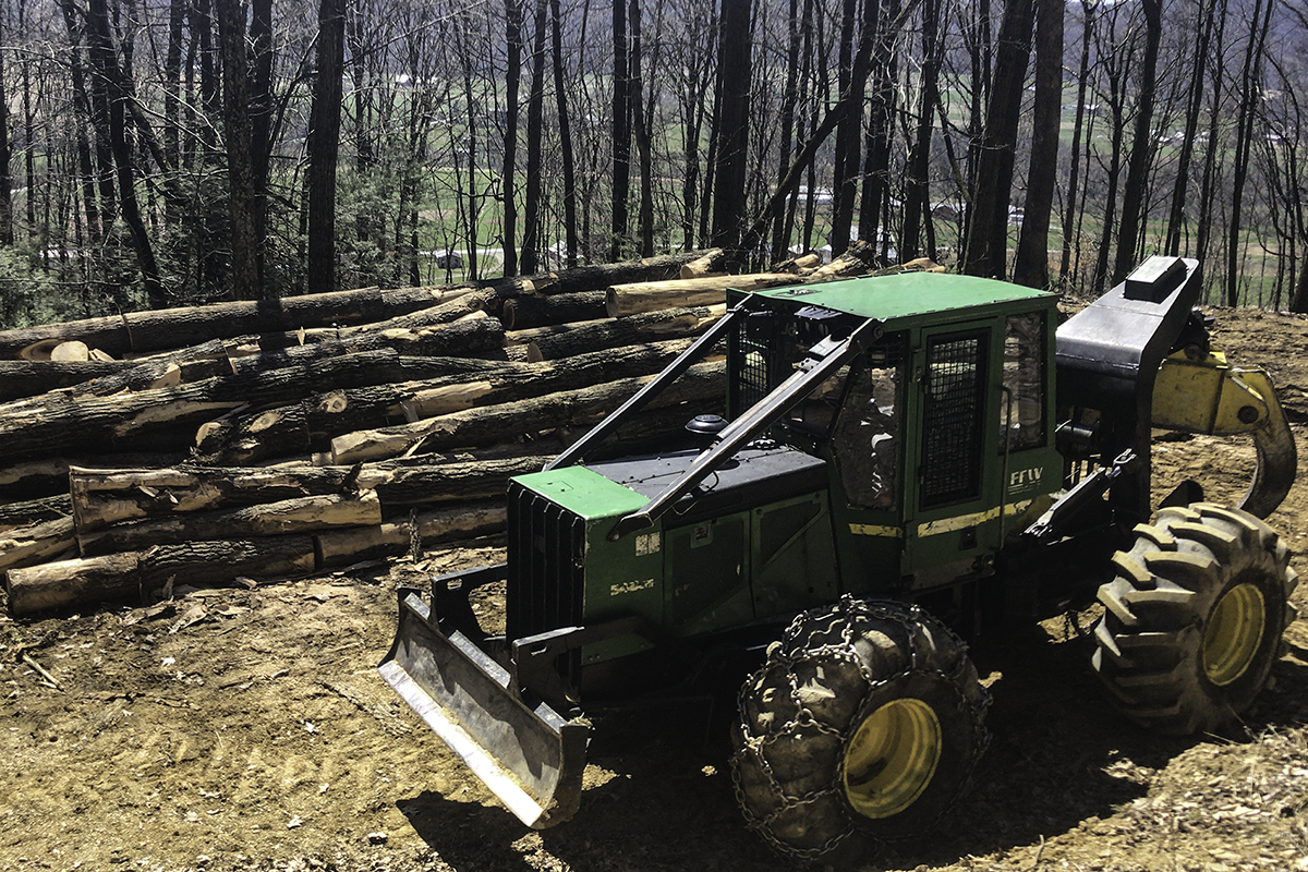 yf-timber-management